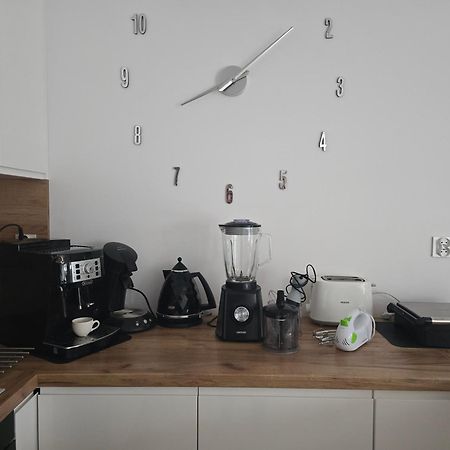 Apartament Przy Kopalni Srebra Tarnowskie Góry Exteriör bild