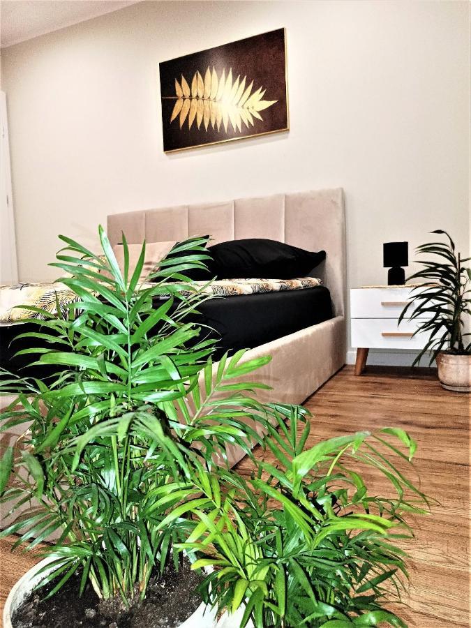 Apartament Przy Kopalni Srebra Tarnowskie Góry Exteriör bild